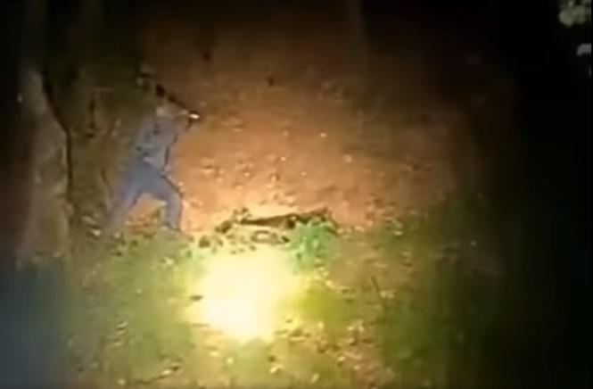 "Fugi! Fugi, că mă omoară!": Un bărbat a atacat cu bâta un urs care dormea, noaptea în pădure, în timp ce prietenul lui filma 857975