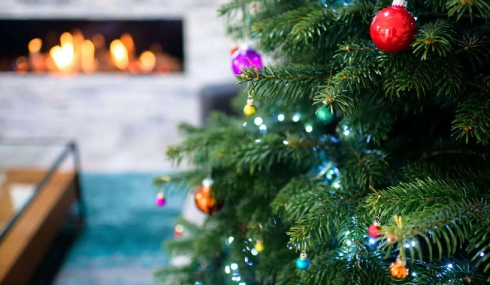 Anastasia Tree aduce magia Crăciunului în casa ta