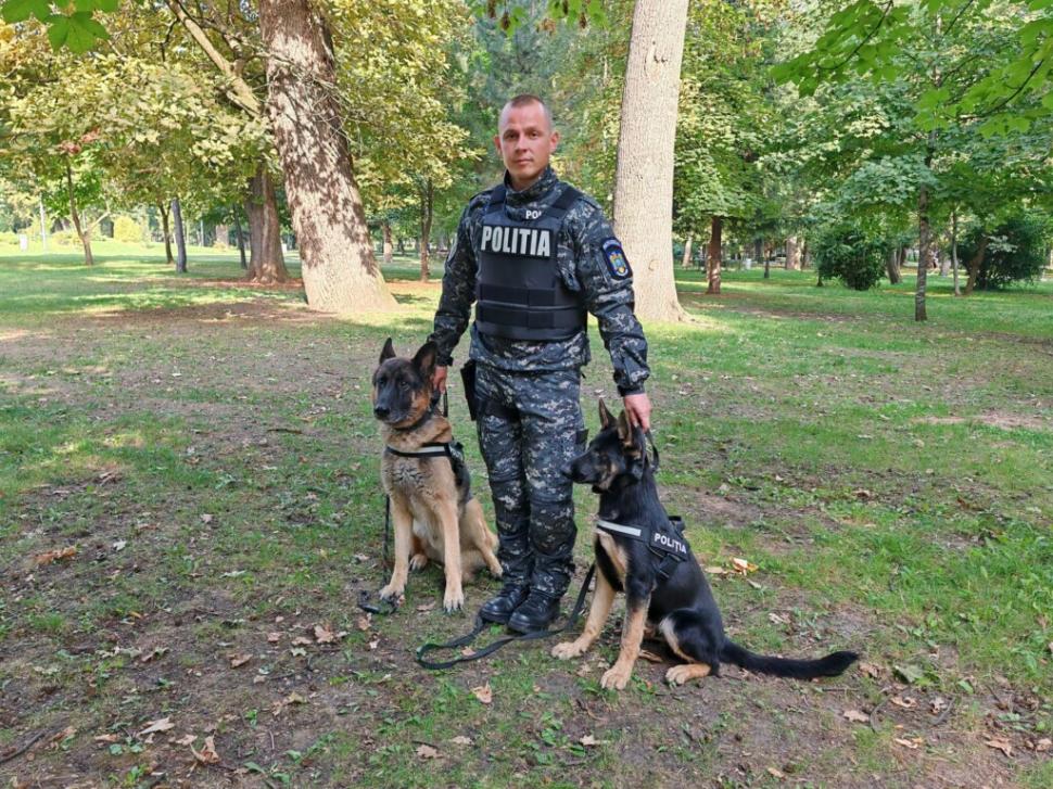 El este Kicsi, singurul câine polițist căutător de cadavre din Transilvania, care iese la pensie din cadrul IPJ Cluj 858963