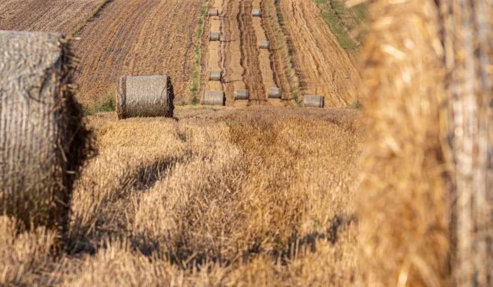 Comisia Europeană propune reînnoirea pe 10 ani a autorizației UE pentru erbicidul glifosat, folosit de agricultori