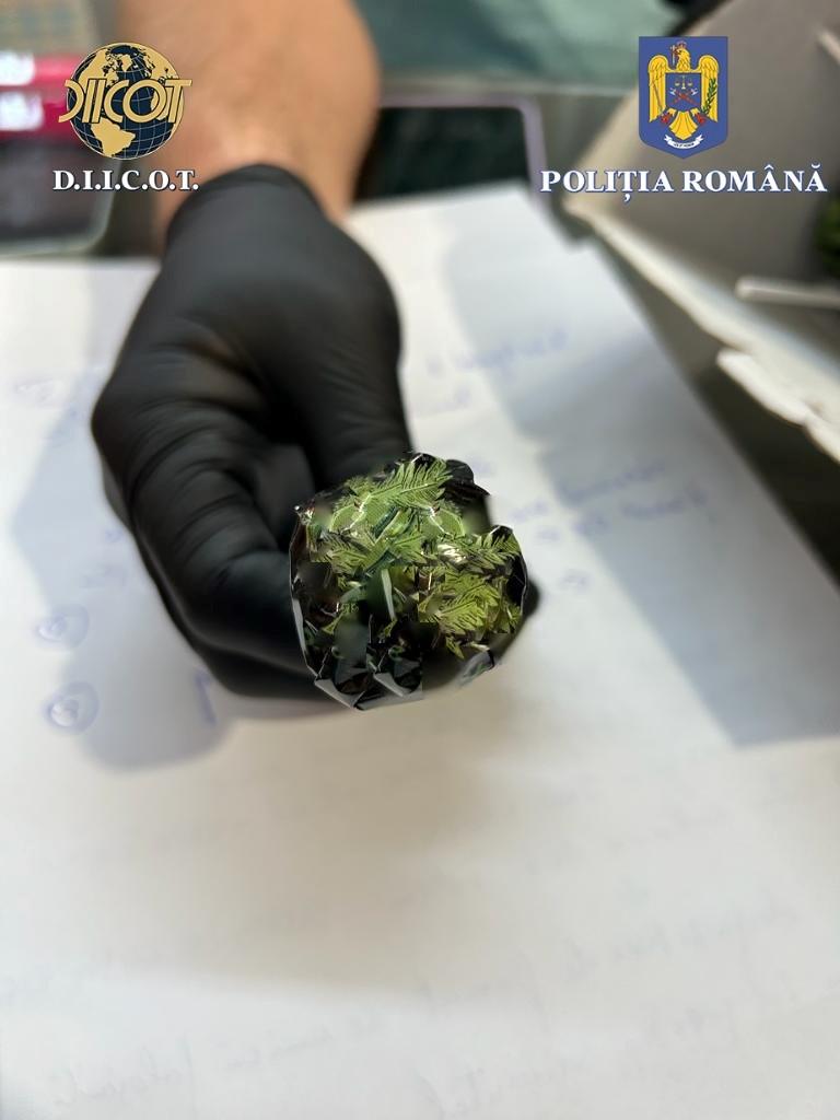 Un polițist ambala dulciuri cu droguri în "Fabrica de vise" din Iași  | Un psiholog și un canadian, printre cei reținuți 859080