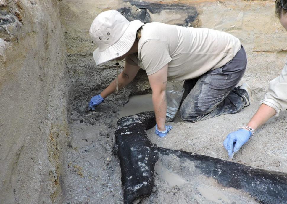 "Este extraordinar!": A fost descoperită cea mai veche structură de lemn realizată de om | Are aproape o jumătate de milion de ani 859277