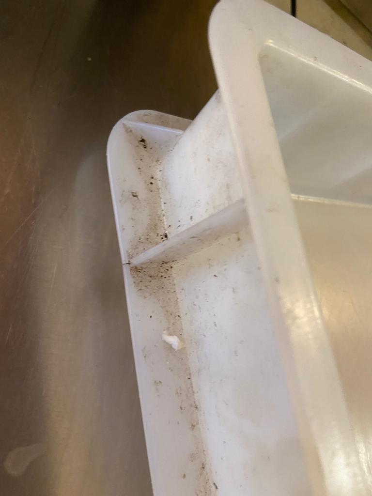 Taverna Racilor Timişoara, închisă de comisarii ANPC | Primele imagini cu neregulile găsite în restaurant 859310