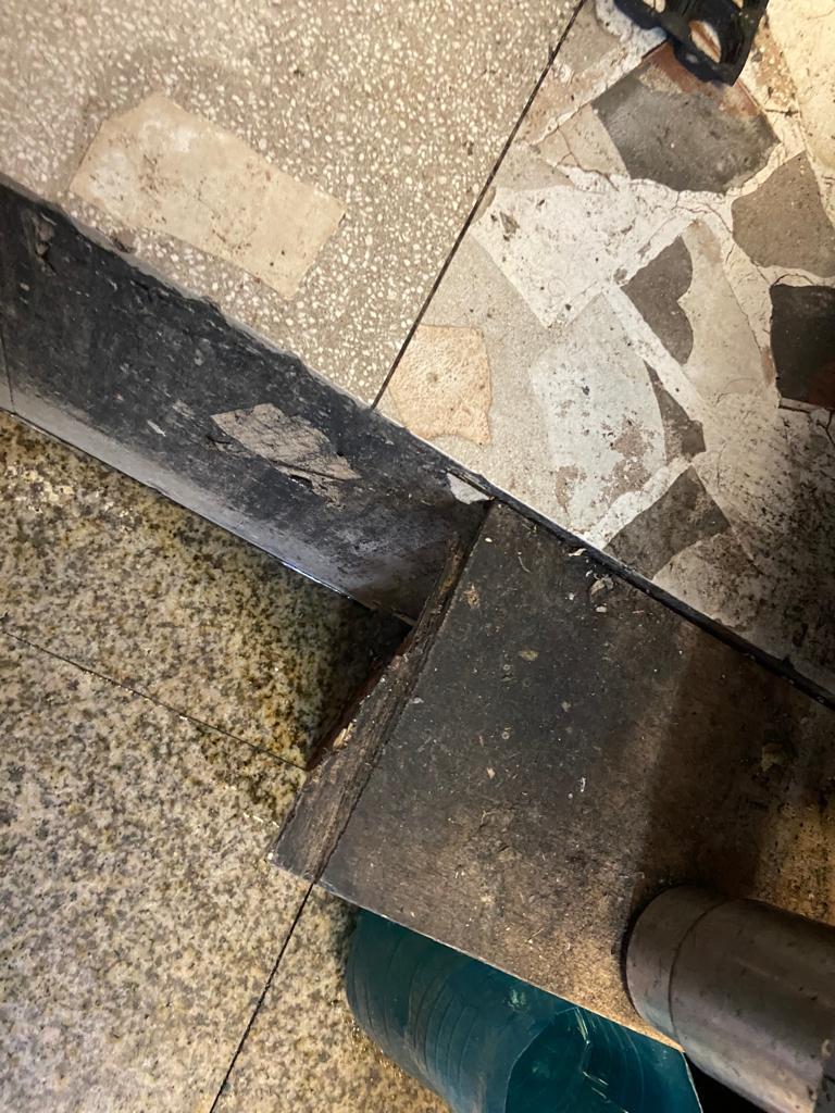 Taverna Racilor Timişoara, închisă de comisarii ANPC | Primele imagini cu neregulile găsite în restaurant 859311