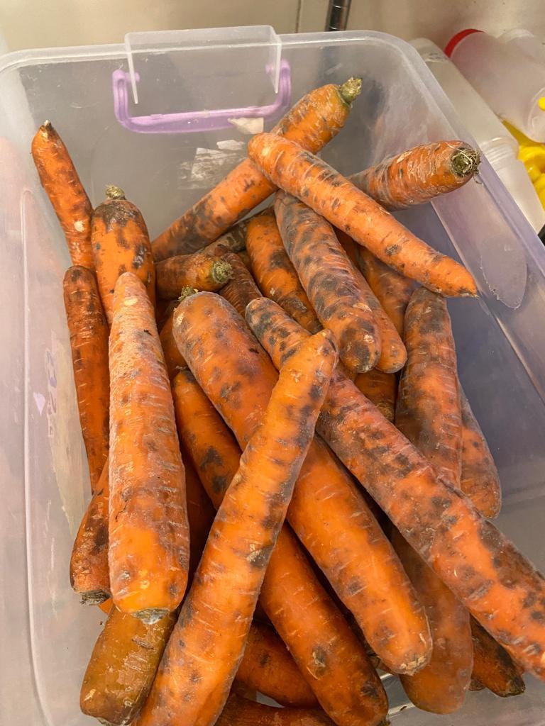 Taverna Racilor Timişoara, închisă de comisarii ANPC | Primele imagini cu neregulile găsite în restaurant 859316