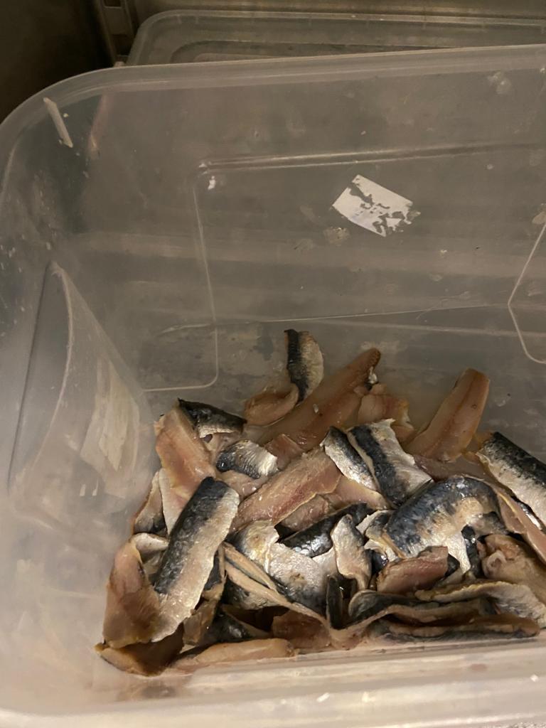 Taverna Racilor Timişoara, închisă de comisarii ANPC | Primele imagini cu neregulile găsite în restaurant 859321