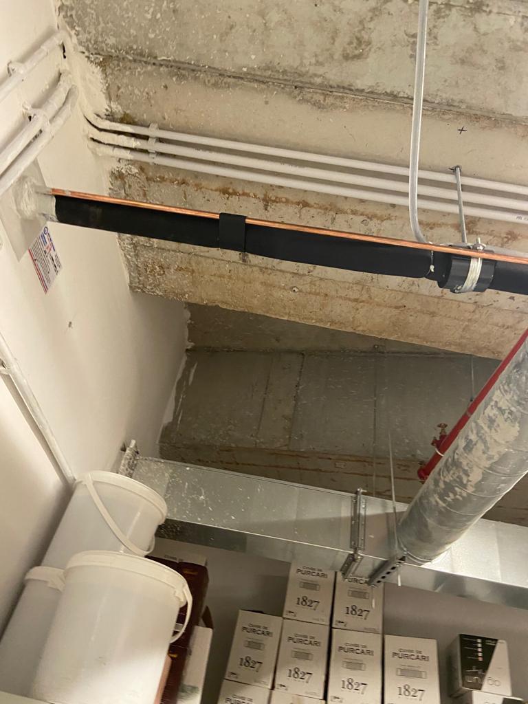 Taverna Racilor Timişoara, închisă de comisarii ANPC | Primele imagini cu neregulile găsite în restaurant 859323