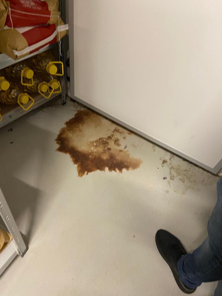 Taverna Racilor Timişoara, închisă de comisarii ANPC | Primele imagini cu neregulile găsite în restaurant 859324