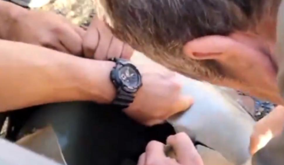 Imagini virale cu salvarea unui urs brun al cărui cap a rămas blocat într-un butoi de plastic 859584