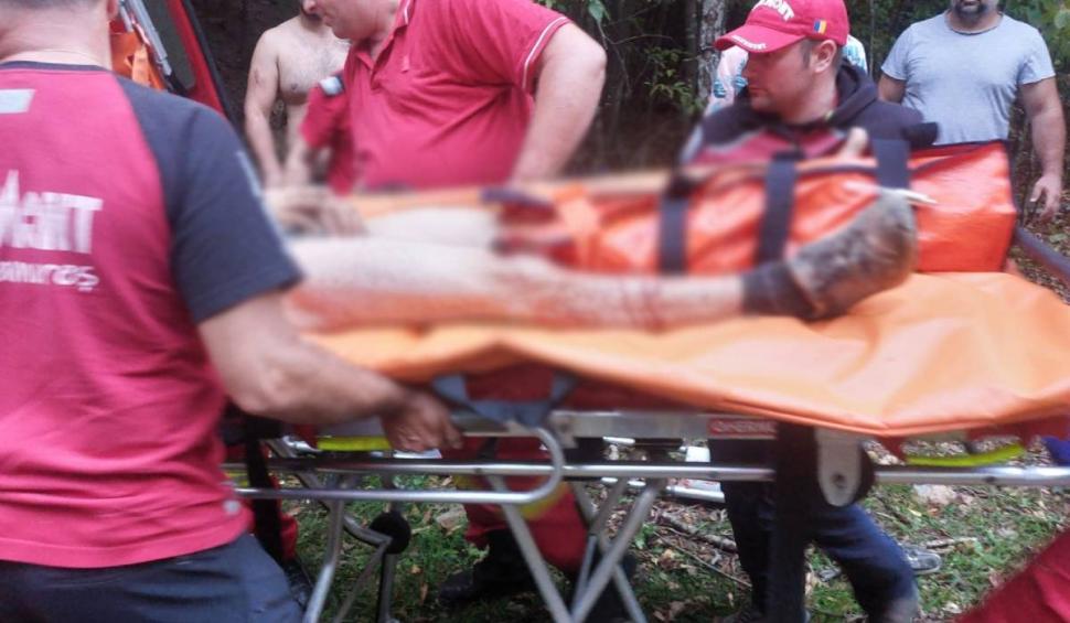 Patru femei au fost atacate de o turmă de bivoli în Munții Maramureșului. S-au urcat pe o căpiță de fân pentru a cere ajutor 859736