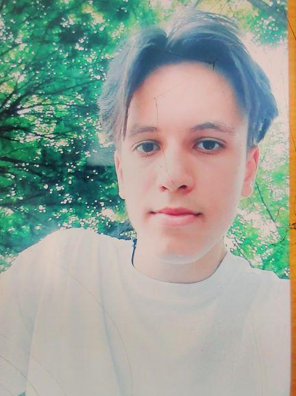 Poliţia Capitalei cere sprijin pentru găsirea unui adolescent de 17 ani, dispărut marți. Băiatul a plecat la școală și nu s-a mai întors 860116