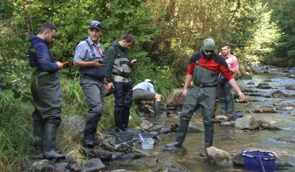 Descoperire istorică pe râul Vâlsan din Argeş | Echipele de cercetări au găsit zeci de aspreţi 860267