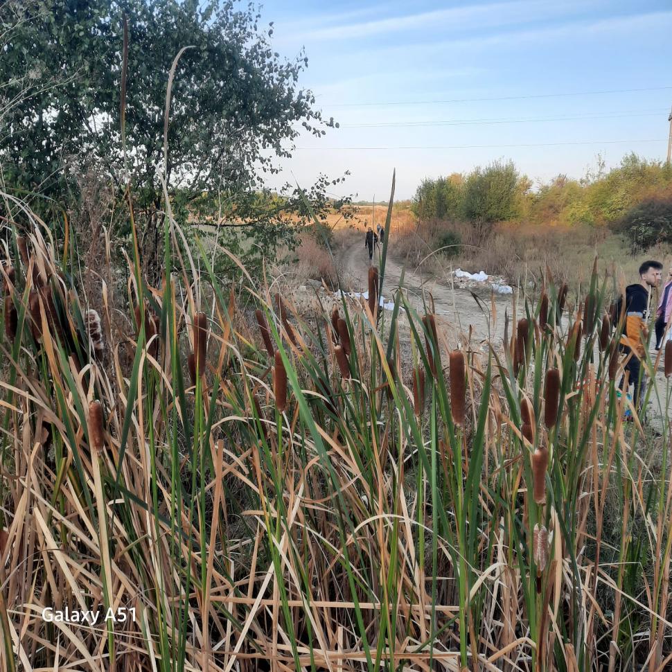 Zeci de călători pe ruta CFR Craiova-București și-au continuat drumul pe jos, pe calea ferată, după ce trenul lor s-a defectat 860265