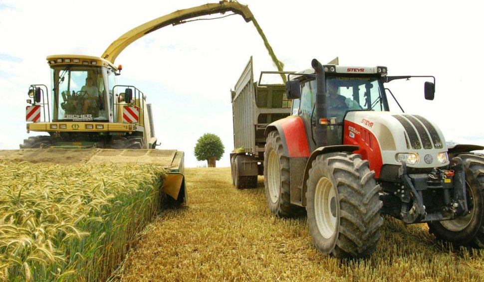 A scăzut producția de triticale în România, dar avem record de grâu şi secară, în 2023