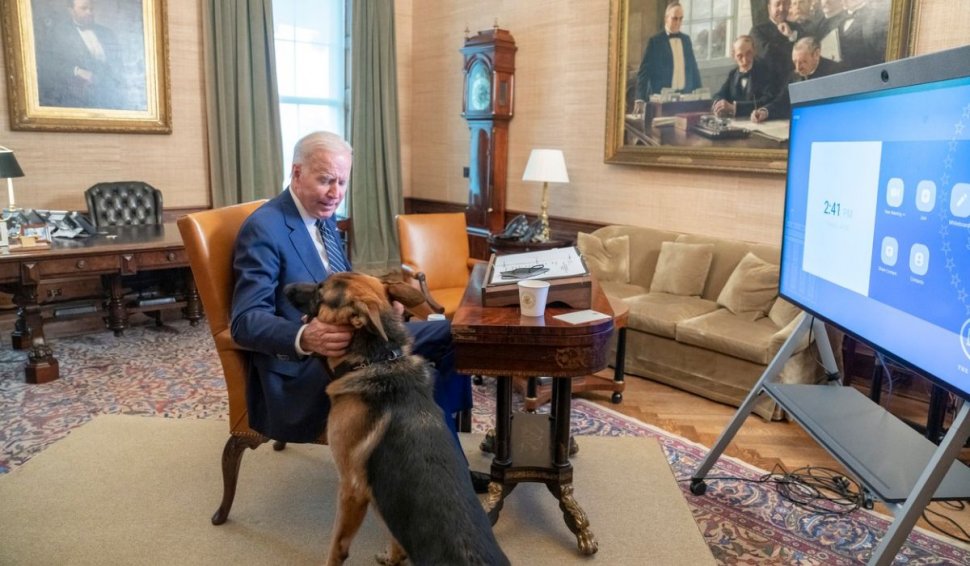 Ce soartă îl așteaptă pe Commander, câinele lui Joe Biden, după ce a mușcat a 11-a oară un agent Secret Service