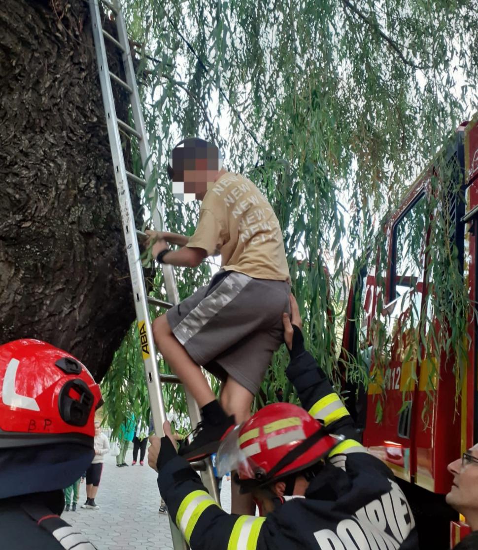 El este Patrik, copilul salvat de pompieri după ce s-a urcat într-un copac din fața blocului și nu a mai putut coborî, în Hunedoara 860606