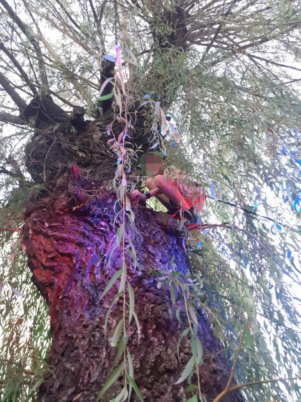 El este Patrik, copilul salvat de pompieri după ce s-a urcat într-un copac din fața blocului și nu a mai putut coborî, în Hunedoara 860607