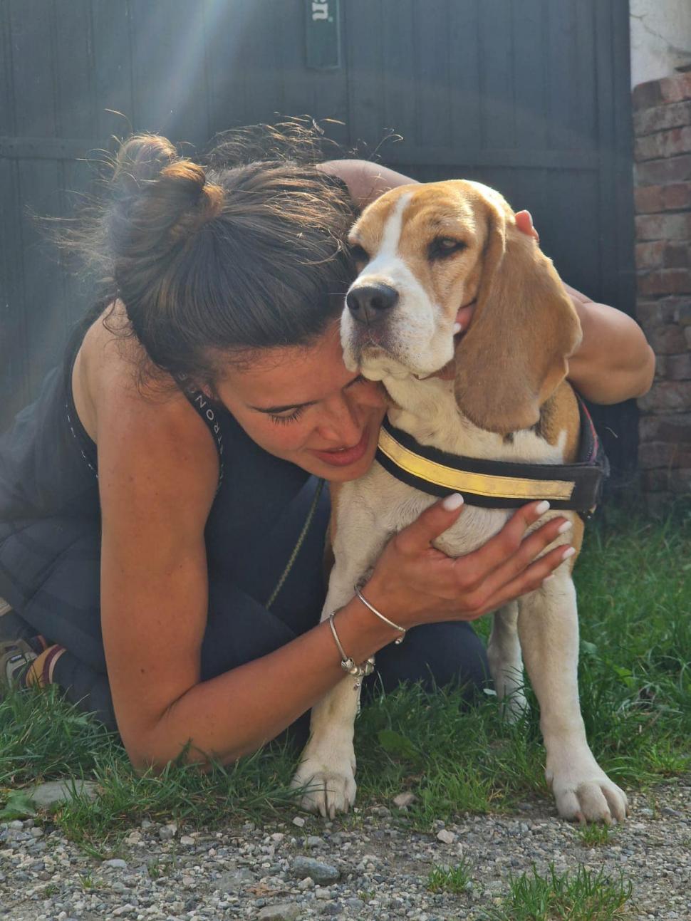 Povestea impresionantă a lui Ozzy, câinele dispărut în Munţii Bucegi: "Au fost oameni care și-au luat concediu" 860770