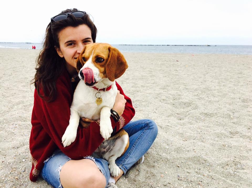 Povestea impresionantă a lui Ozzy, câinele dispărut în Munţii Bucegi: "Au fost oameni care și-au luat concediu" 860772