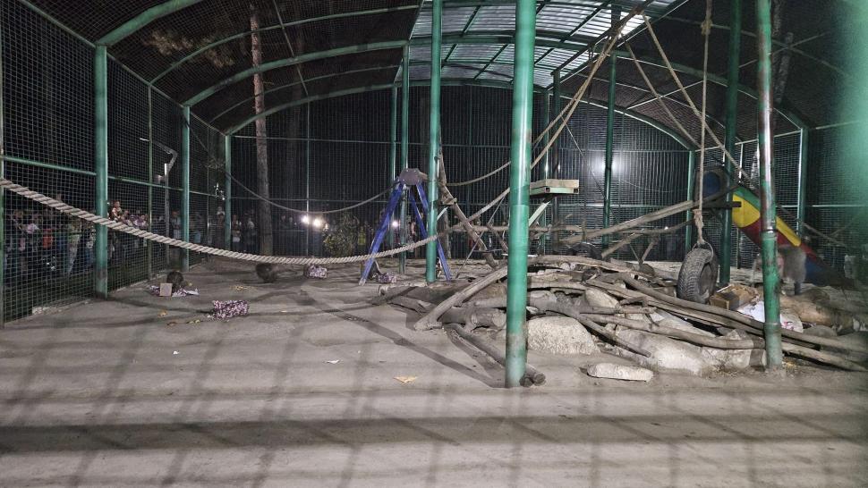 Peste 5.000 de oameni au venit noaptea la grădina zoologică de lângă Ploieşti. Vizitatorii au avut parte de o experienţă inedită 860949