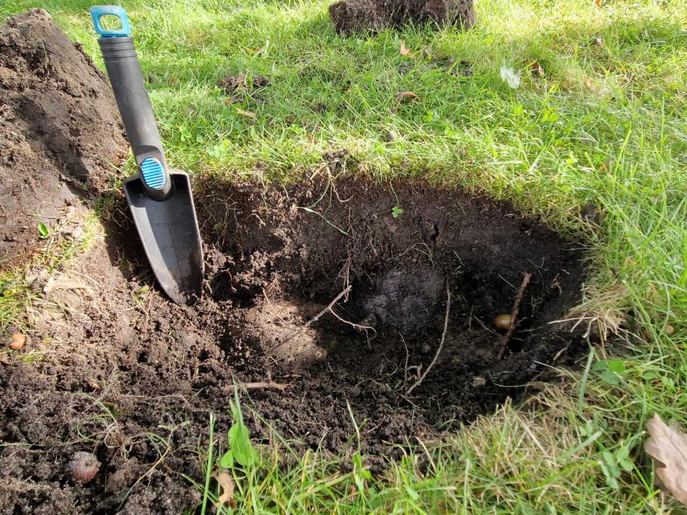 O familie care căuta un cercel pierdut în grădina casei a dat peste o comoară veche de 1.000 de ani, din timpul vikingilor 860936