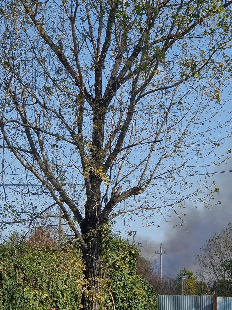 Incendiu de proporții lângă București. Flăcările s-au extins pe 12.000 metri pătraţi de vegetaţie 860974