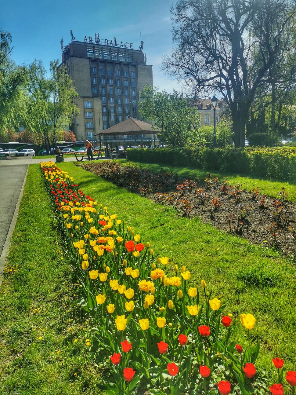 Orașul din România, pe primul loc în topul rezervărilor pentru city-break-uri. Prețul pe o noapte de cazare 860926