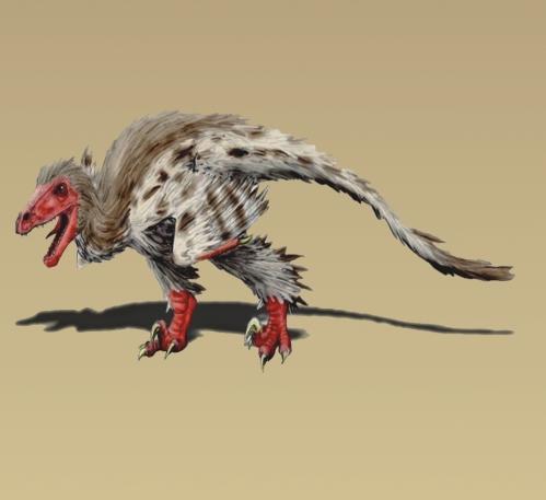 El este Balaurul bondoc, dinozaurul românesc descoperit în Alba. "Un amestec hibrid dintre o puică uriașă și un pitbull" 861331