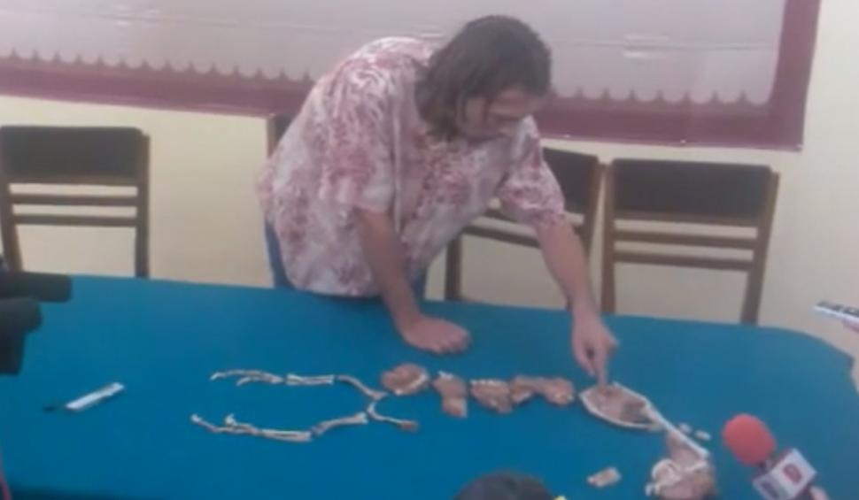 El este Balaurul bondoc, dinozaurul românesc descoperit în Alba. "Un amestec hibrid dintre o puică uriașă și un pitbull" 861332