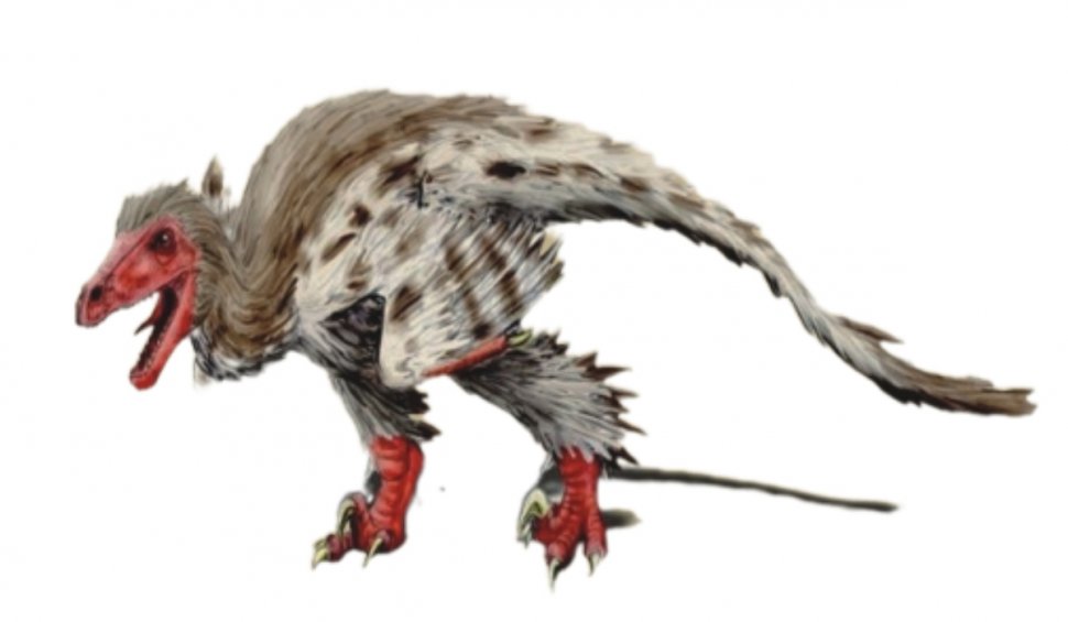 El este Balaurul bondoc, dinozaurul românesc descoperit în Alba. "Un amestec hibrid dintre o puică uriașă și un pitbull"