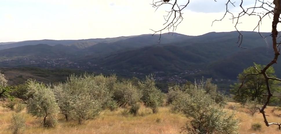 Vârful Pietrei, locul din România care îi atrage ca un magnet pe căutătorii de comori care i-au aflat legenda 861632