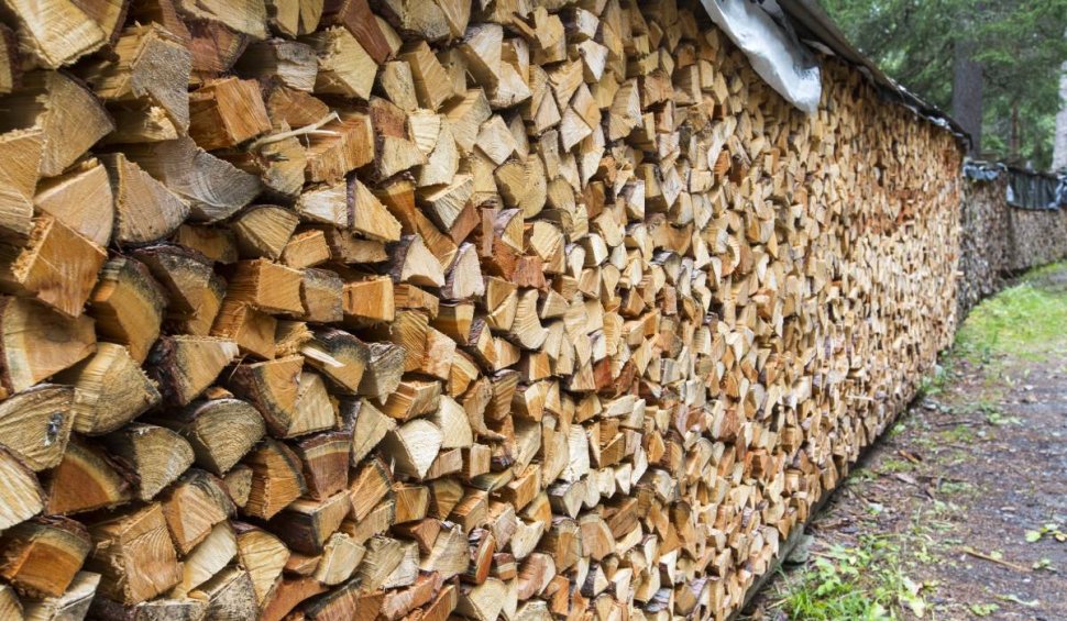 Prețul lemnelor de foc în toamna lui 2023. Românii vor plăti mai mult pentru căldură, iarna aceasta