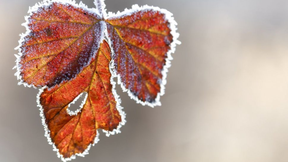 Schimbări bruște de temperaturi de la o zi la alta: ”Iarna își face apariția!”