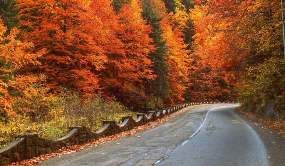 Cheile Bicazului rămân în administrarea judeţului Neamţ. Curtea de Apel Târgu Mureş a respins definitiv solicitarea CJ Harghita 863131