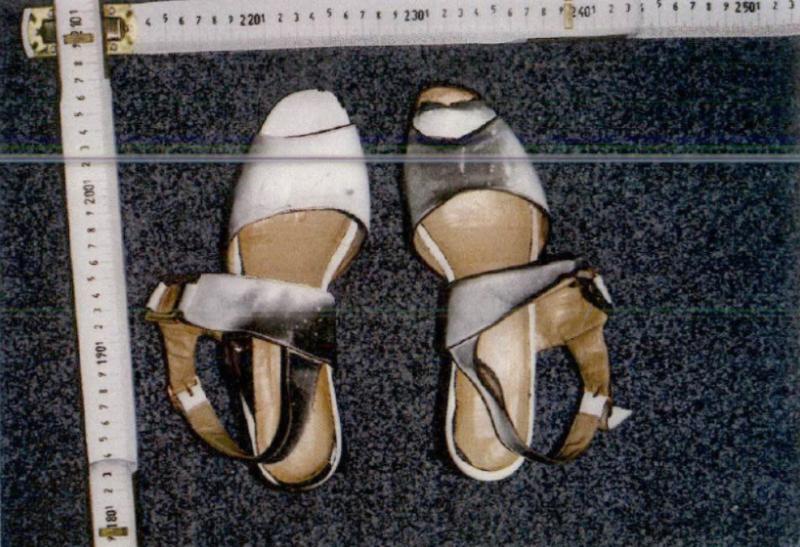 Misterul cadavrului din Pădurea Neagră, pe cale să fie elucidat, după 26 de ani. Polițiștii au reconstituit chipul tinerei ucisă cu sânge rece 863277