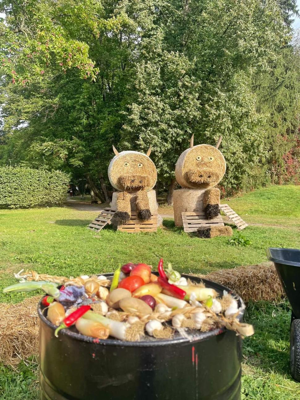 OktoberFest cu specific românesc, la Avrig 863346