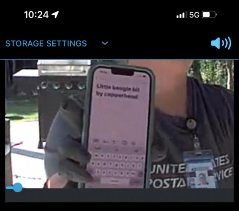 "Vreau să-i mulțumesc din suflet". O poștăriță a salvat un câine de la moarte, după ce a lăsat un mesaj pe camera de supraveghere 863488