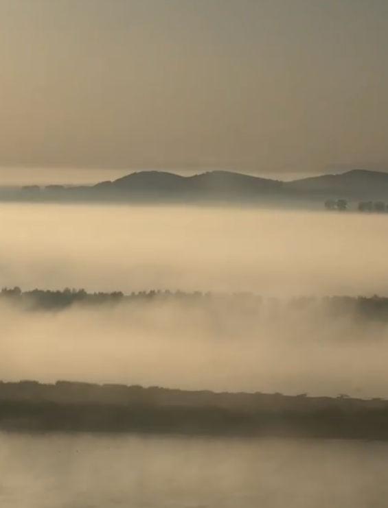 "Fierbe" Dunărea. Explicaţiile unui fenomen rar şi spectaculos 863710