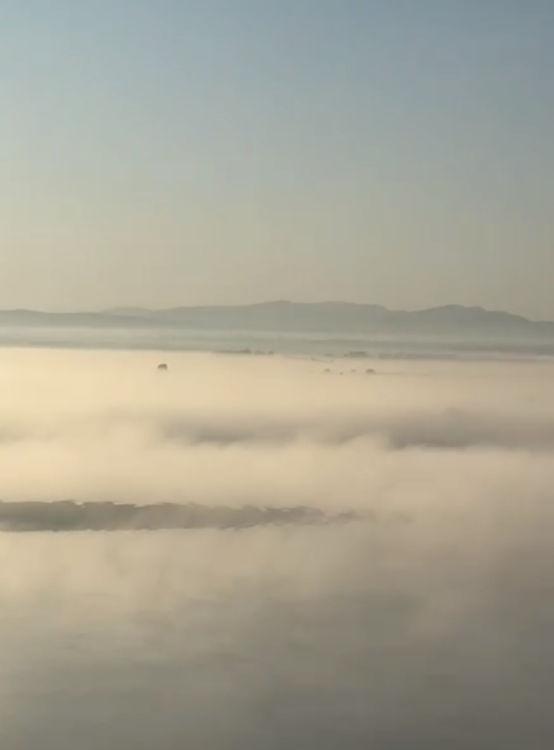 "Fierbe" Dunărea. Explicaţiile unui fenomen rar şi spectaculos 863711