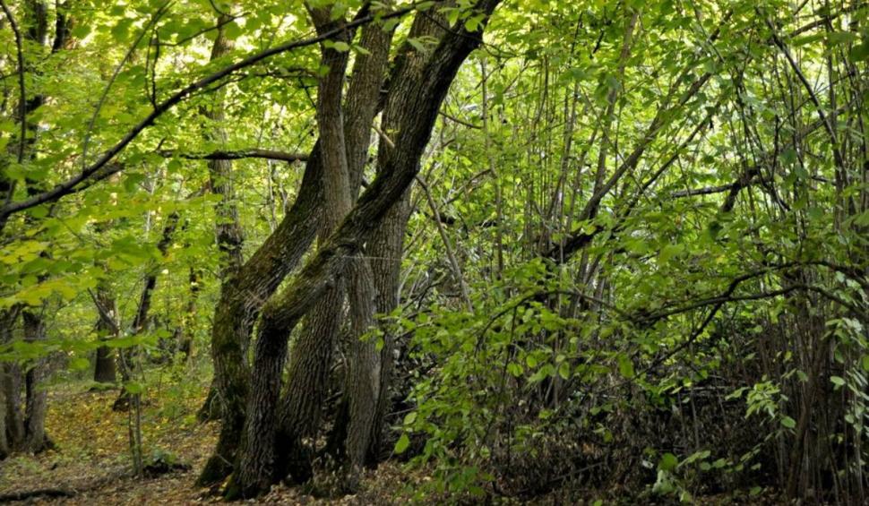 Locurile din România aflate în topul celor mai bântuite din lume 862937