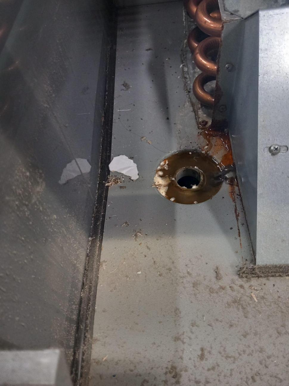 Zeci de magazine, dintr-un lanţ cunoscut de hipermarketuri, închise şi amendate de ANPC, într-o singură zi. Neregulile găsite de inspectori 863759