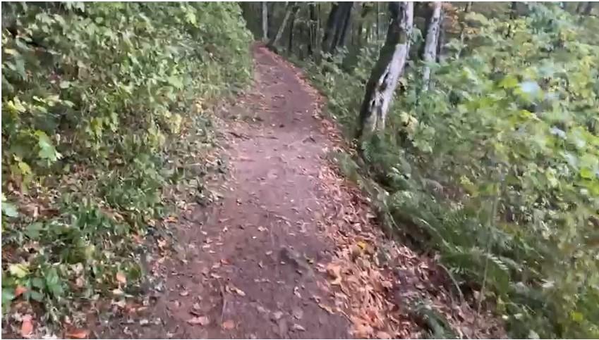 Un bărbat a căzut într-o râpă de 80 de metri, lângă Peștera Românești. A vrut să evite aglomerația, la plecarea de la un concert 863799