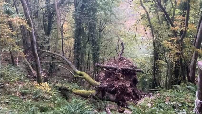 Un bărbat a căzut într-o râpă de 80 de metri, lângă Peștera Românești. A vrut să evite aglomerația, la plecarea de la un concert 863800