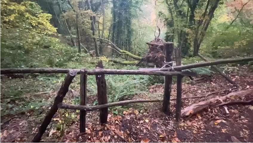 Un bărbat a căzut într-o râpă de 80 de metri, lângă Peștera Românești. A vrut să evite aglomerația, la plecarea de la un concert 863801