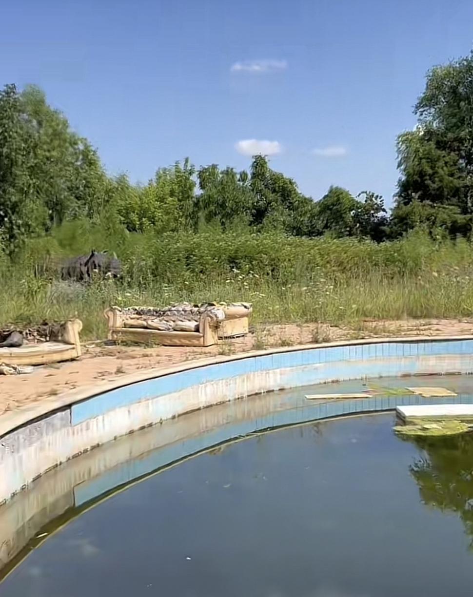 Cum arată astăzi celebra casă în care a locuit Irinel Columbeanu. Vila de la Izvorani a ajuns o ruină 864565