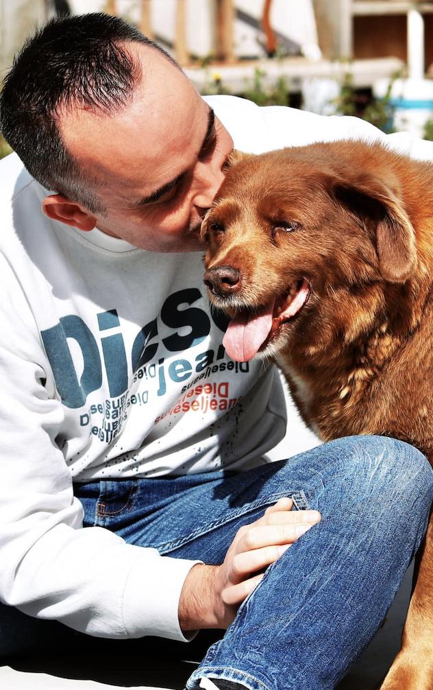 "Ce viață minunată ai avut". Bobi, cel mai bătrân câine din lume, a murit la vârsta de 31 de ani și 5 luni. A intrat în cartea recordurilor 865238