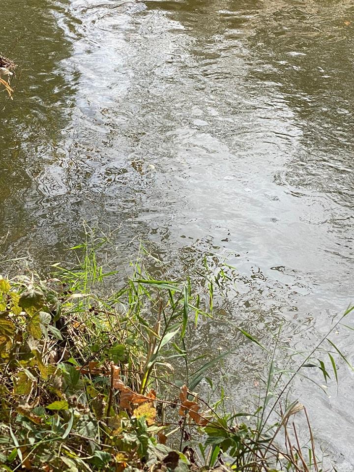 Râul Cibin din Sibiu a fost poluat cu produs petrolier | Anunţul făcut de Apele Române 865755