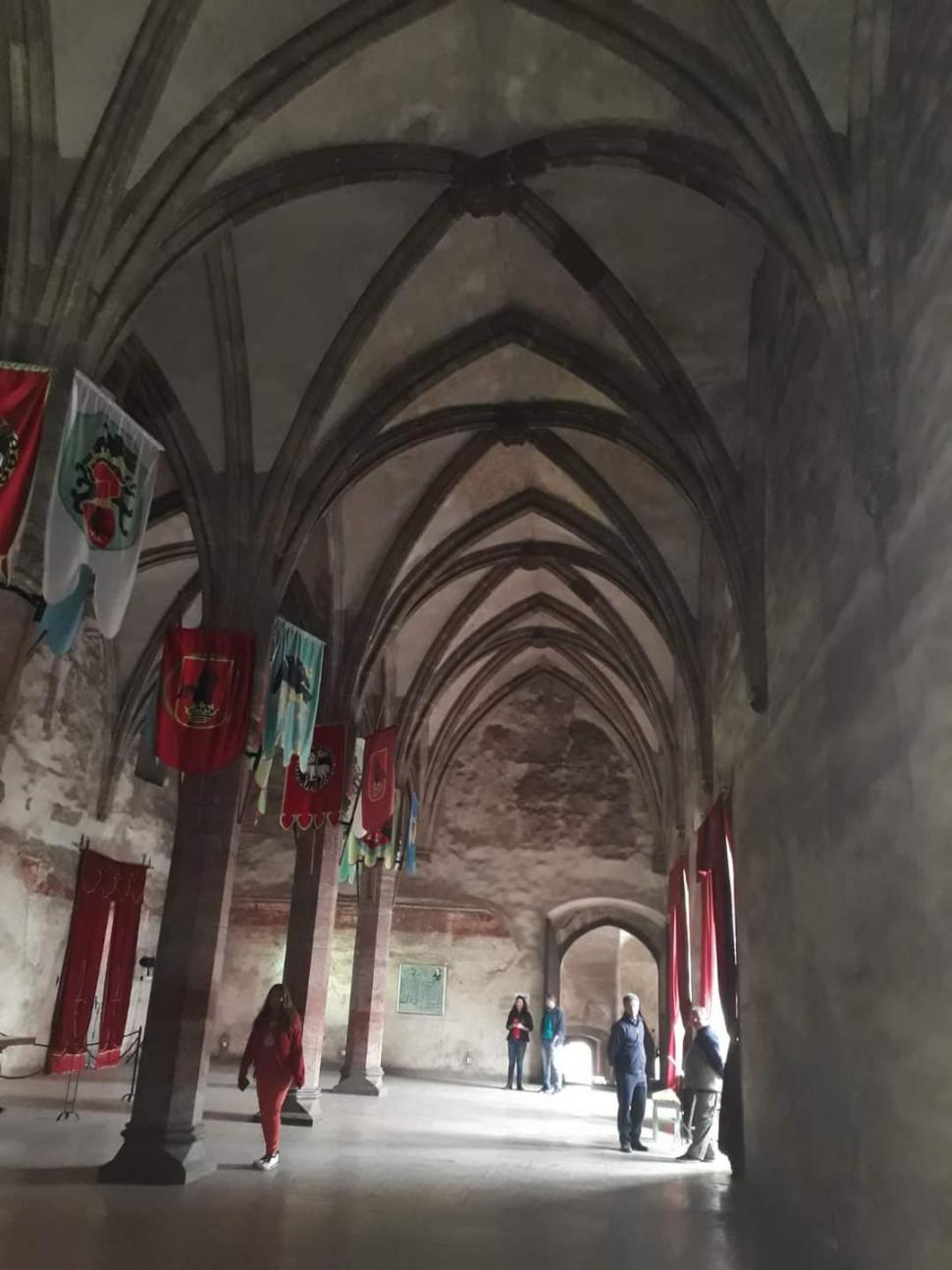 Cetăți dace și romane, castele și fortificații, în Țara Hațegului 865868