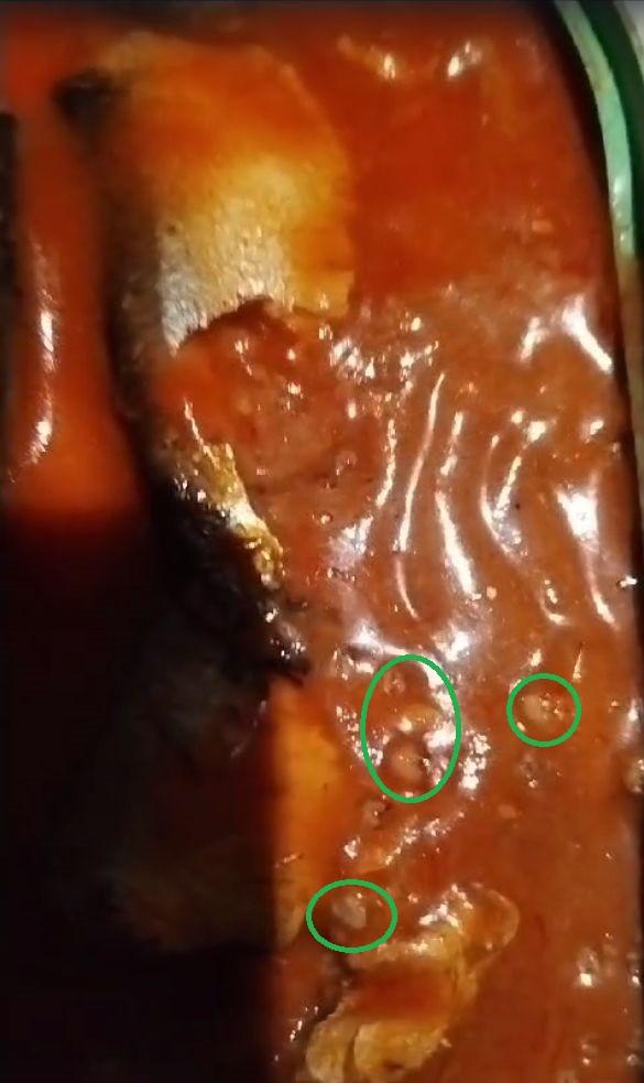 "Uitaţi ce mănâncă oamenii! Ruşine să le fie!" | O familie din Mehedinţi, dezgustată de ce a găsit în conserva de peşte cumpărată de la magazin 866059