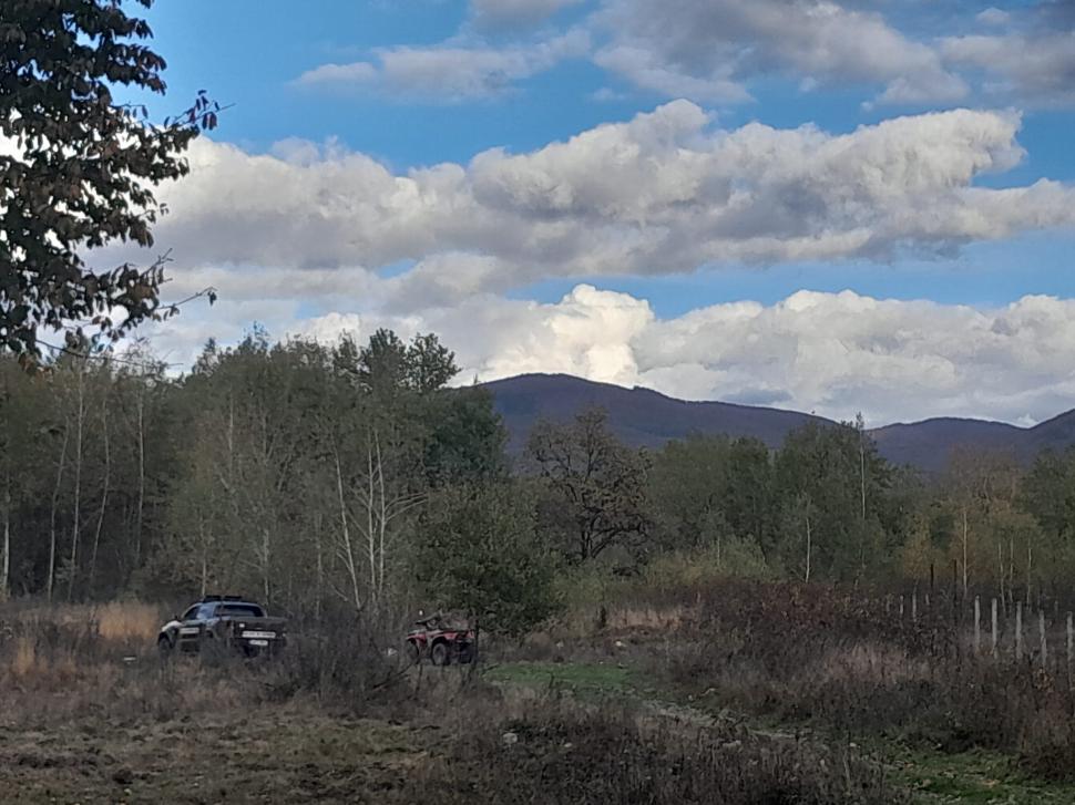 Cei patru copii ucraineni, căutaţi de Poliţia din Satu Mare după ce au dispărut dintr-o casă, au fost găsiţi 866201